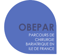 logo OBEPAR
